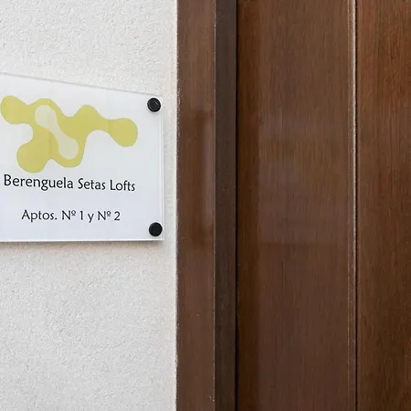 Apartamento Berenguela Setas Lofts Sevilla